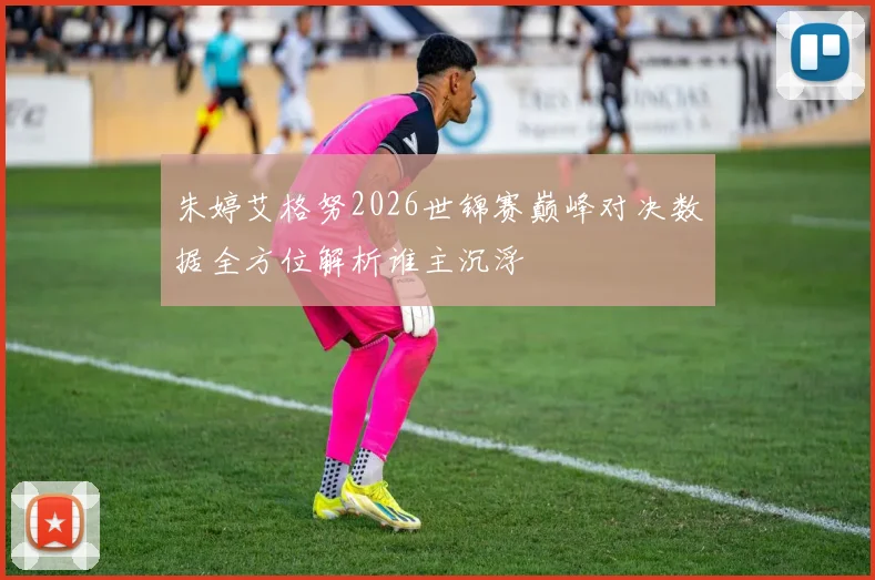 朱婷艾格努2026世锦赛巅峰对决数据全方位解析谁主沉浮