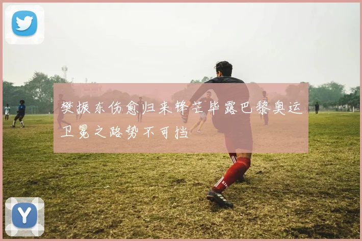 樊振东伤愈归来锋芒毕露巴黎奥运卫冕之路势不可挡