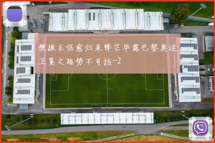 樊振东伤愈归来锋芒毕露巴黎奥运卫冕之路势不可挡